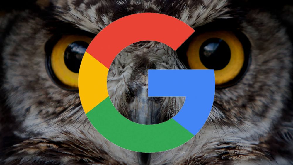 谷歌猫头鹰算法更新